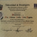 Ampliar imagen: certificate 5