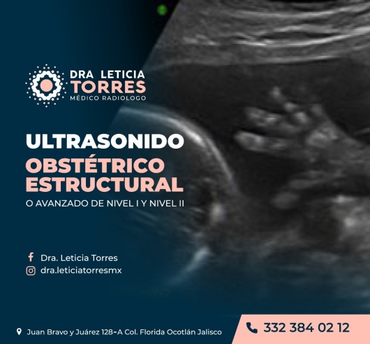 Maira Leticia Torres De Anda-5