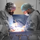 Dr. Omar Alberto Hernández Barboza