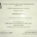 Ampliar imagen: certificate 22