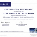 Ampliar imagen: certificate 10