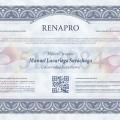 Ampliar imagen: certificate 1