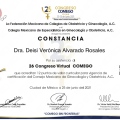 Ampliar imagen: certificate 21