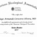 Ampliar imagen: certificate 3