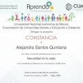 Ampliar imagen: certificate 3