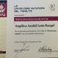 Ampliar imagen: certificate 8