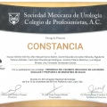 Ampliar imagen: certificate 14