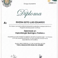 Ampliar imagen: certificate 8