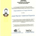 Ampliar imagen: certificate 3