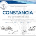 Ampliar imagen: certificate 3