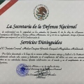 Ampliar imagen: certificate 15