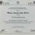 Ampliar imagen: certificate 29
