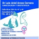 Luis Ariel Arceo Cervera