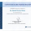Ampliar imagen: certificate 30