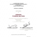Ampliar imagen: certificate 9
