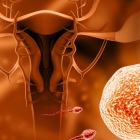 Dr. Mario Emiliano Albani Campanario