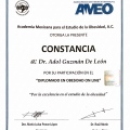 Ampliar imagen: certificate 6