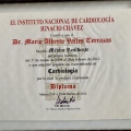 Ampliar imagen: certificate 3
