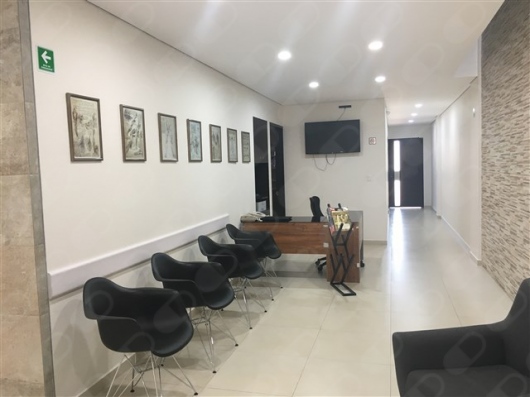 Jesús Guzmán Flores-4