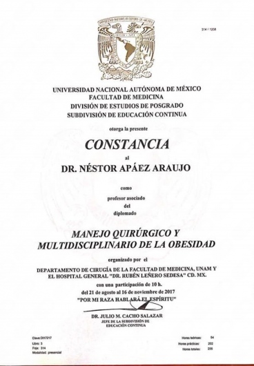 Néstor Apaez Araujo-8