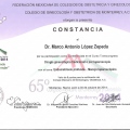 Ampliar imagen: certificate 91