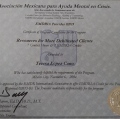 Ampliar imagen: certificate 9