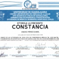 Ampliar imagen: certificate 132