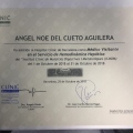 Ampliar imagen: certificate 4