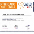 Ampliar imagen: certificate 31