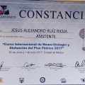 Ampliar imagen: certificate 13