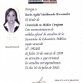 Ampliar imagen: certificate 6