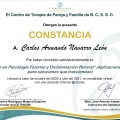Ampliar imagen: certificate 3