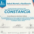 Ampliar imagen: certificate 27