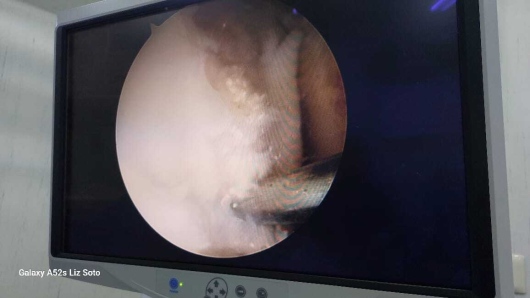 Jaime Galvan Alaniz-7