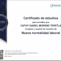 Ampliar imagen: certificate 12