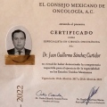 Ampliar imagen: certificate 4