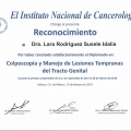 Ampliar imagen: certificate 2