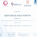 Ampliar imagen: certificate 15