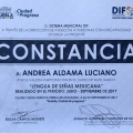 Ampliar imagen: certificate 3