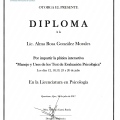Ampliar imagen: certificate 10