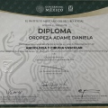 Ampliar imagen: certificate 5