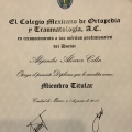 Ampliar imagen: certificate 2