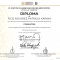 Ampliar imagen: certificate 8