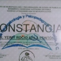 Ampliar imagen: certificate 13