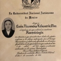 Ampliar imagen: certificate 3
