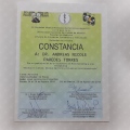 Ampliar imagen: certificate 5