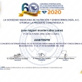 Ampliar imagen: certificate 6