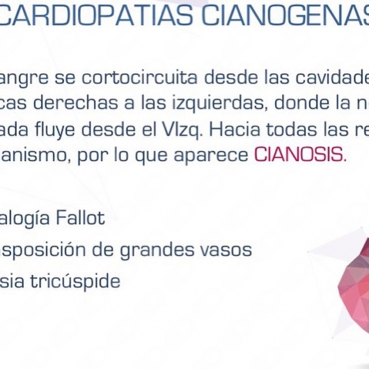 Didier López Pérez-7