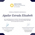 Ampliar imagen: certificate 2