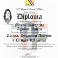 Ampliar imagen: certificate 3